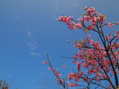 P2160778