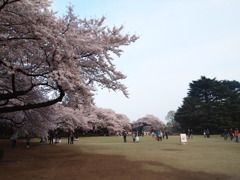 P4100222