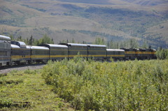 アラスカ鉄道の旅