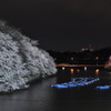 千鳥ヶ淵の夜桜見物