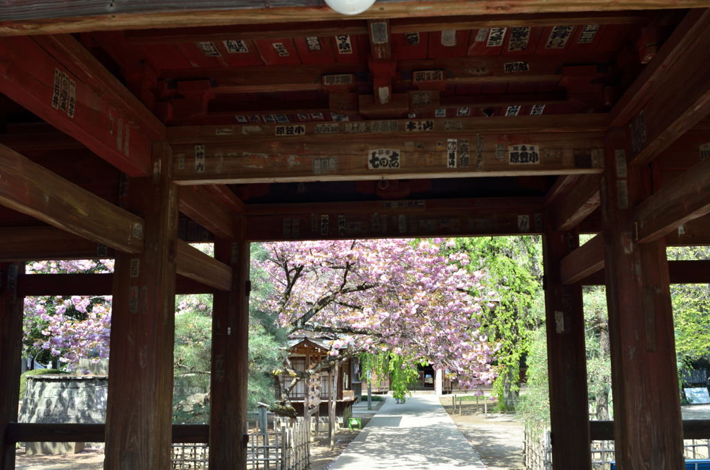 茂林寺の山門