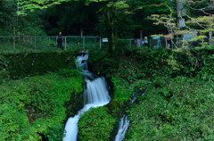 箱島湧水