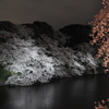 千鳥ヶ淵の夜桜見物