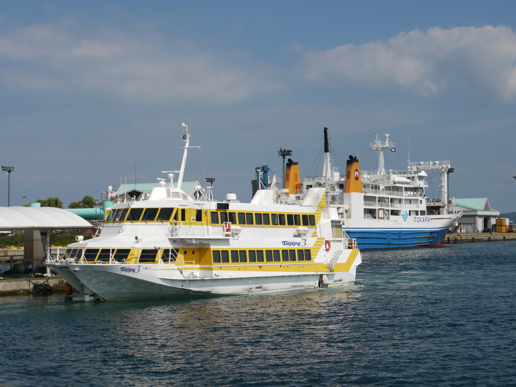 yakushima_01