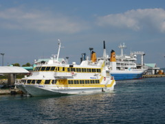 yakushima_01
