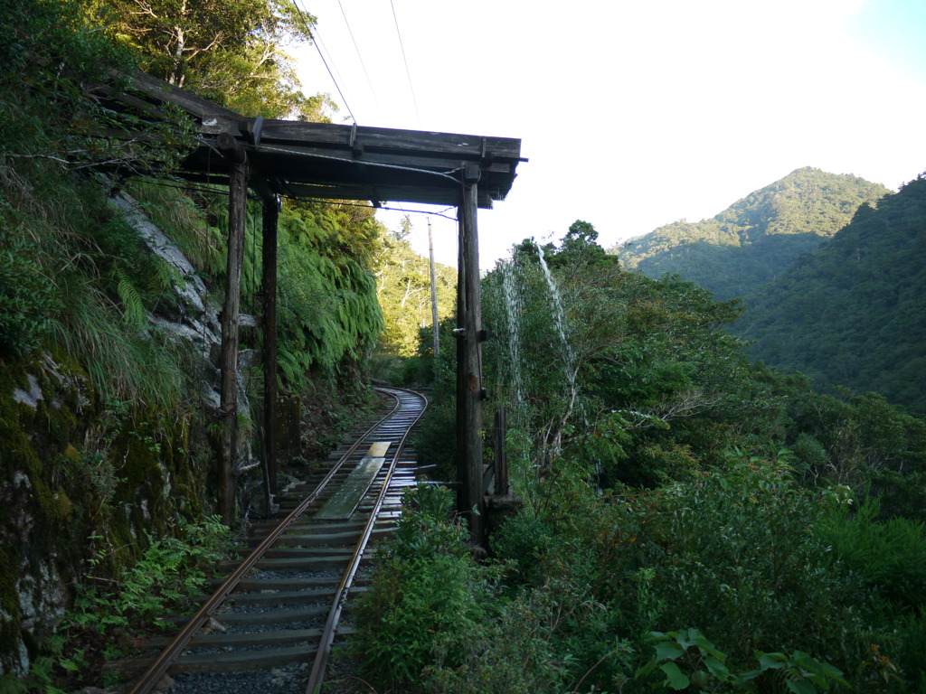 yakushima_02