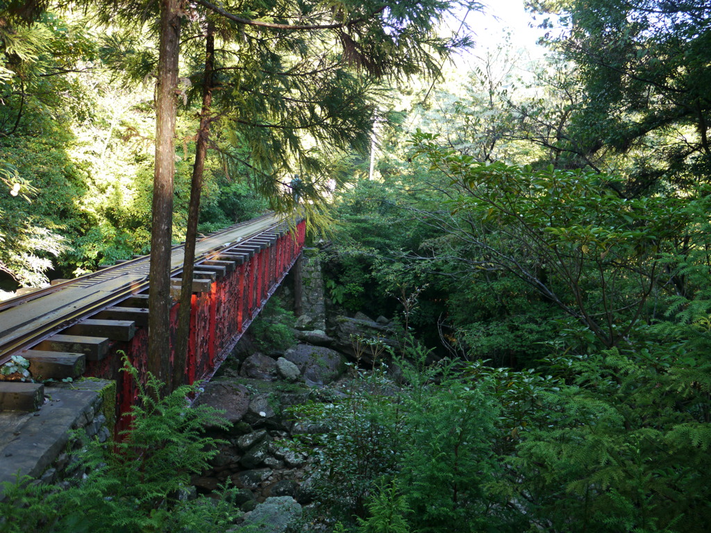 yakushima_03