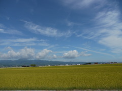 初秋の風景①～島鉄の車窓から～