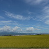 初秋の風景①～島鉄の車窓から～
