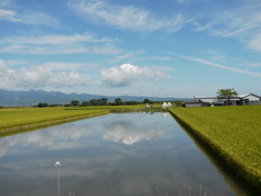 初秋の風景②～島鉄の車窓から～