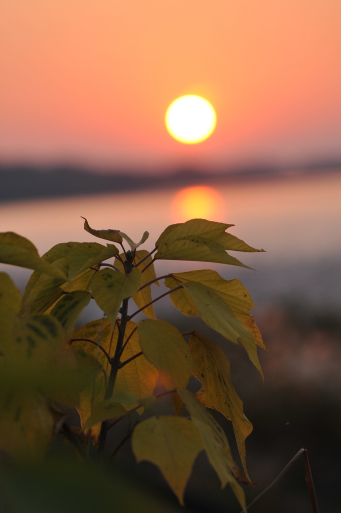 秋の夕暮れ