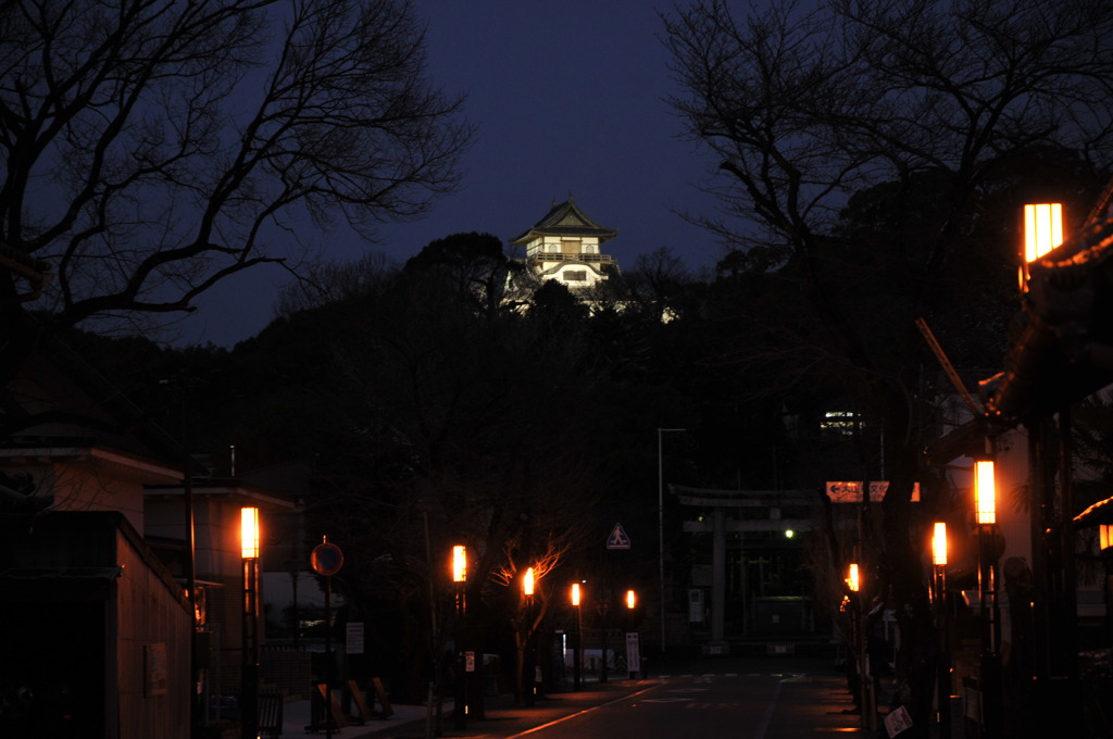 夜の犬山城