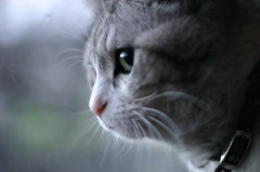 Glance