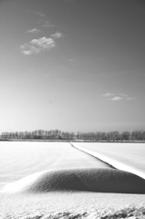 Powder snow