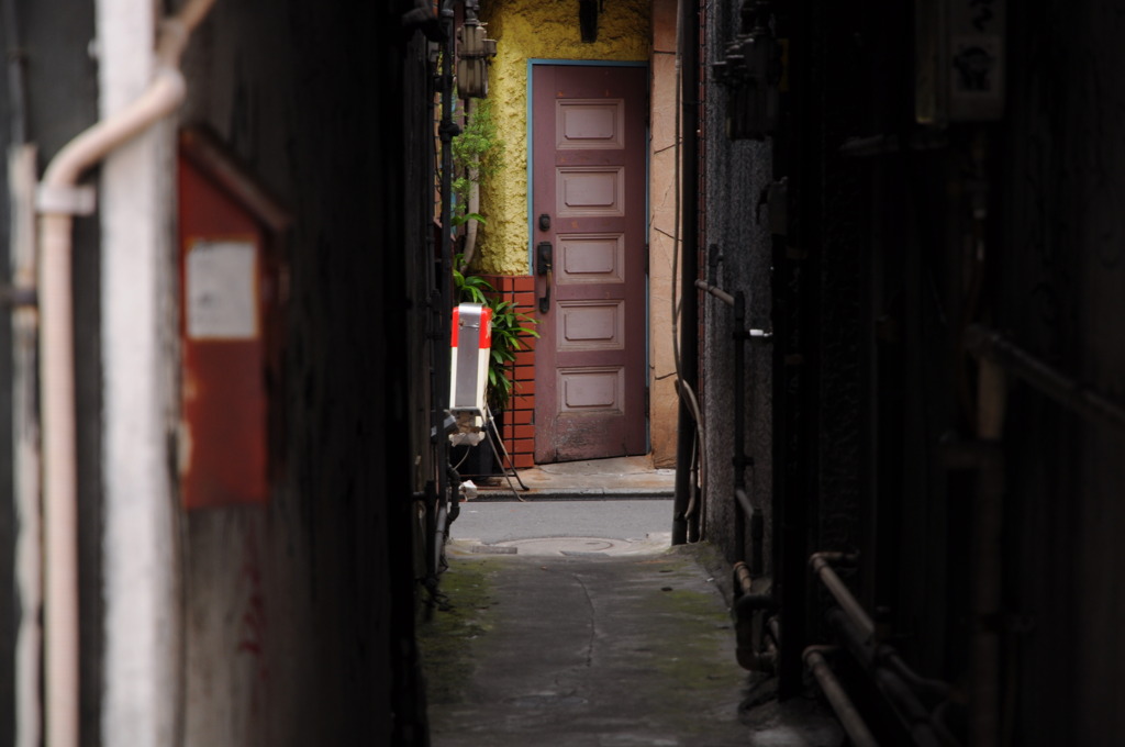 向こうの路地