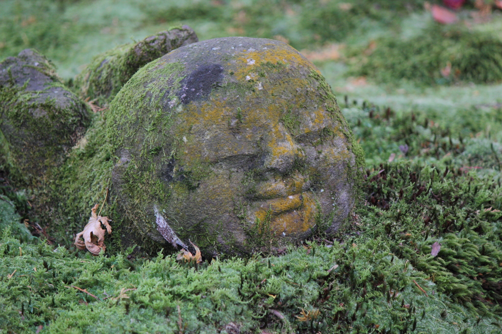 京都大原散策