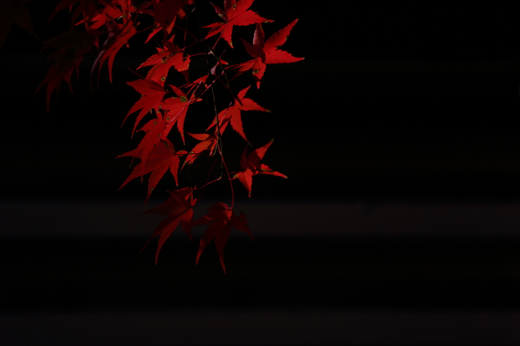 京都大原散策