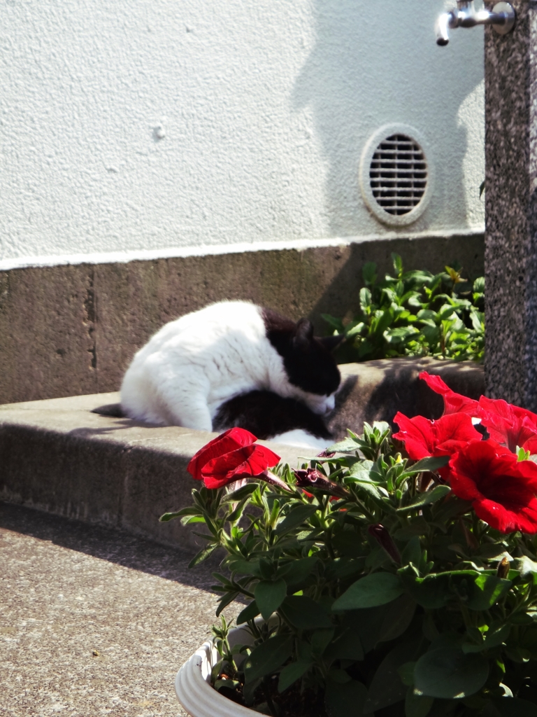 もうすぐ夏だね