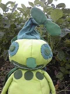 だだちゃん