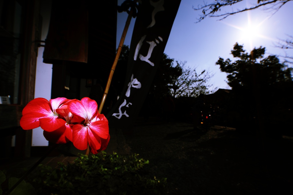 花と空　そして　太陽