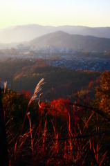 夕暮れ時