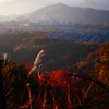 夕暮れ時