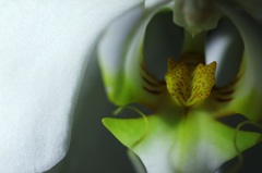 kassyさん個展大成功おめでとうございます。