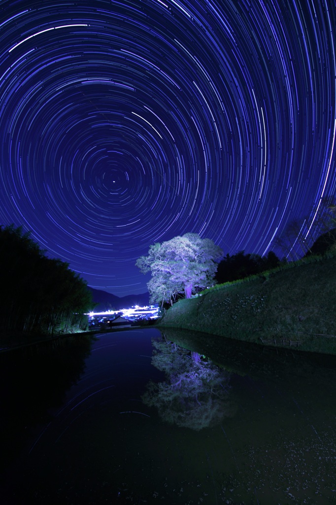 桜と夜空