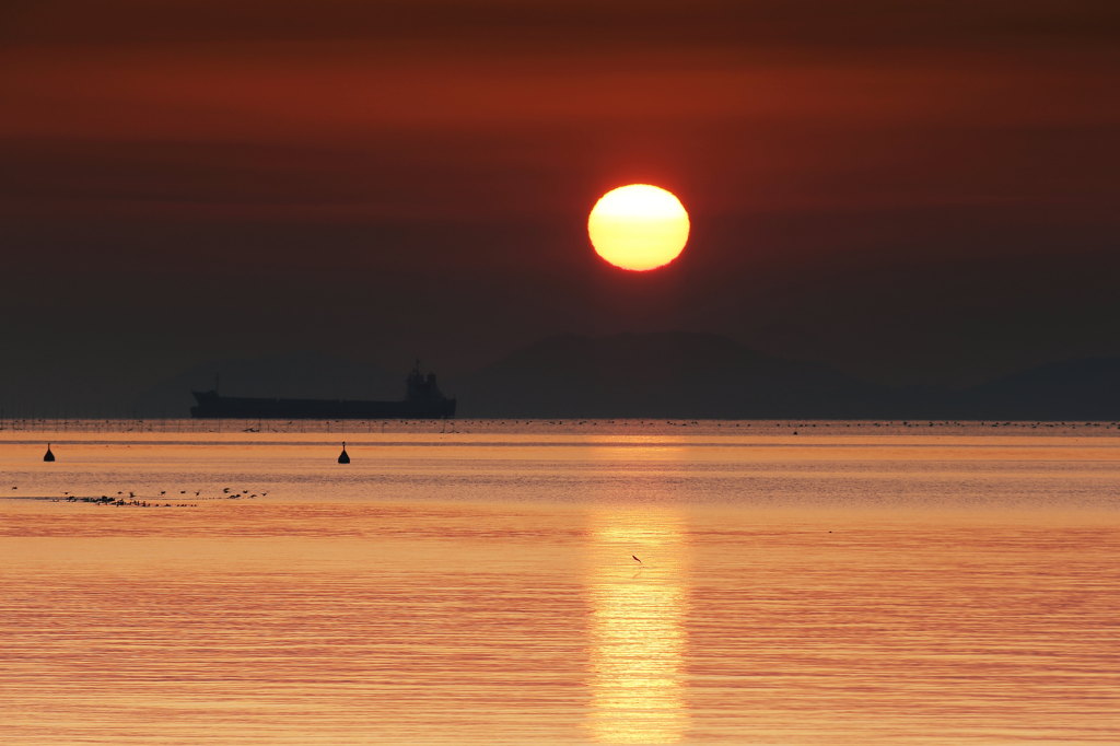 輝く海と朝日