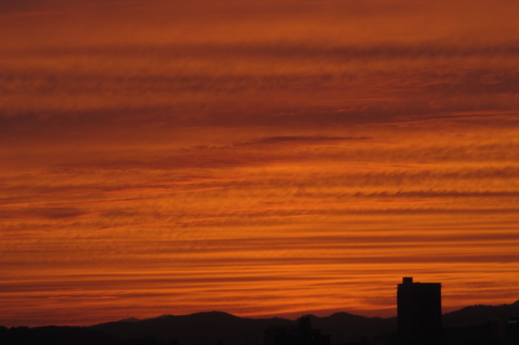 会社からの夕日