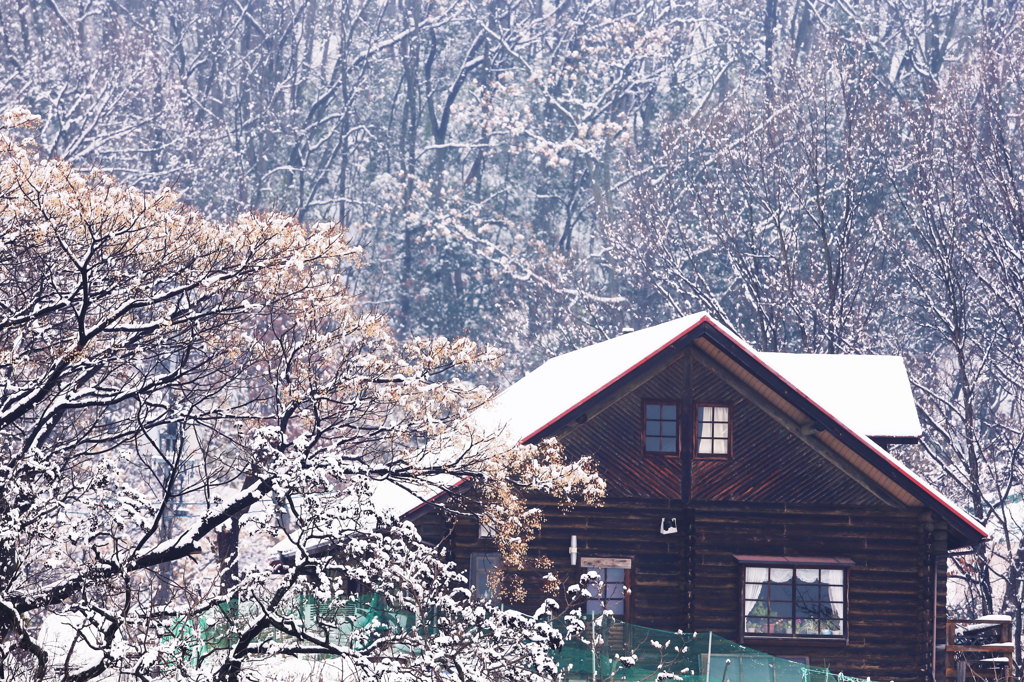 初雪