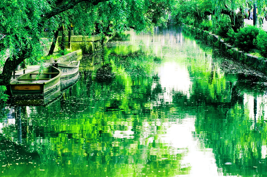 倉敷の緑