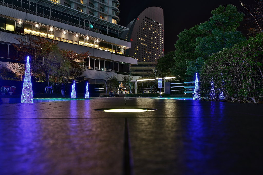 横浜の夜道