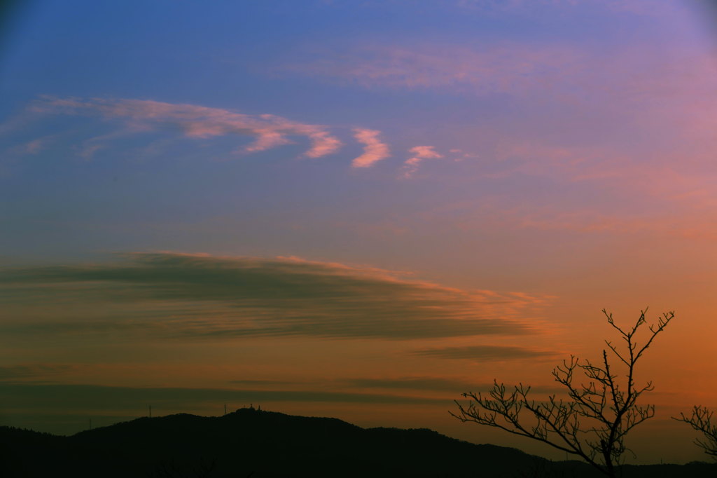 冬の空