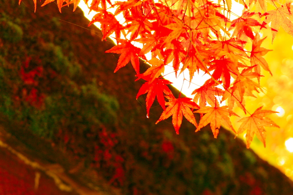 越前陶芸村