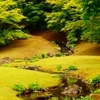 遣水