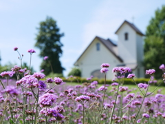 やくらいガーデン2022Ⅷ