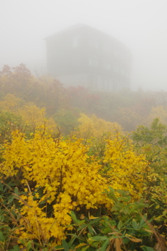 栗駒山荘の紅葉