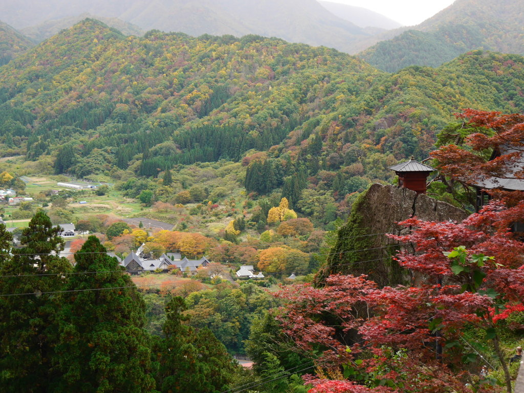 秋の山寺2020Ⅱ