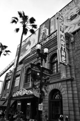 初めてのUSJⅧ