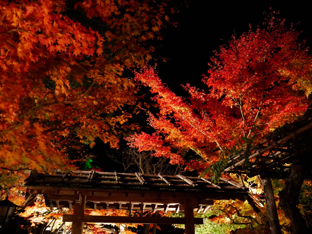 円通院2015Ⅱ