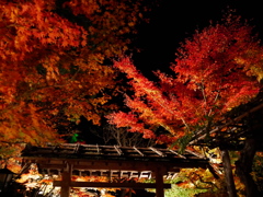 円通院2015Ⅱ