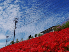 秋だな～