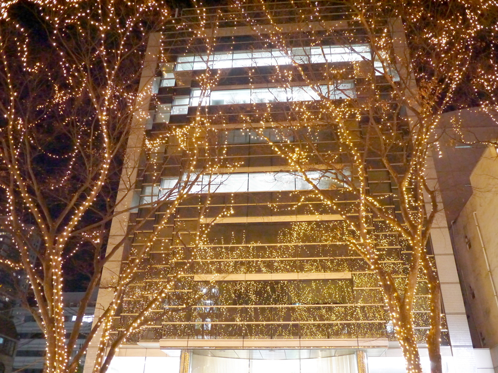 SENDAI光のページェント2025Ⅹ