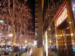 SENDAI光のページェント2025Ⅷ