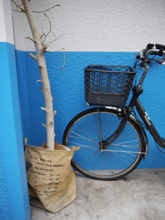 自転車のある風景