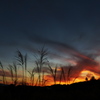 曲沢沼の夕景Ⅱ
