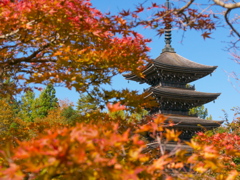 秋の定義山2024Ⅲ