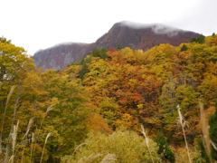 秋の黒伏山Ⅱ