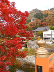 秋の山寺2021Ⅵ